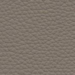 Royal Stone gray  1