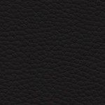 Royal Testa di moro 1